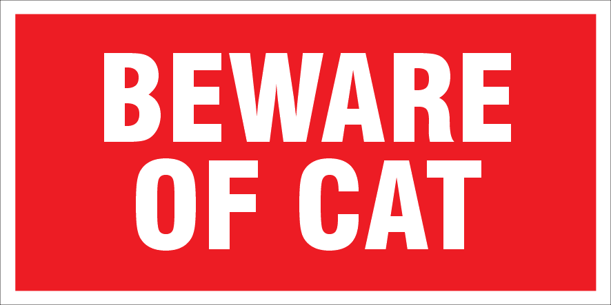 ANIMALS Cat Beware